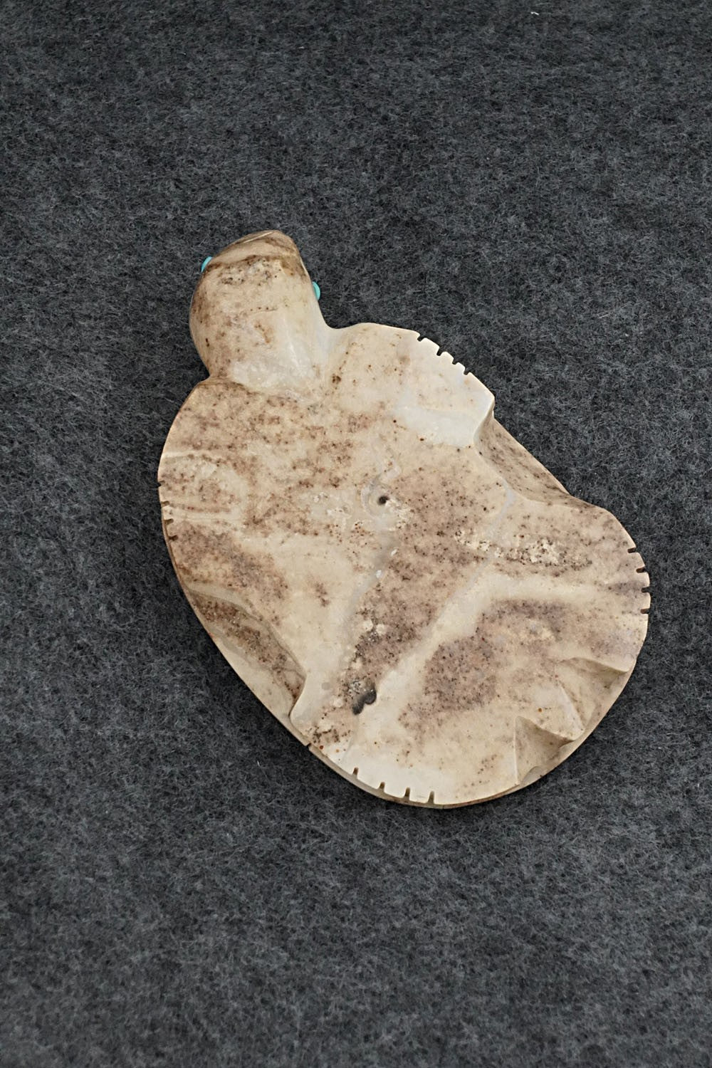 Turtle Zuni Fetish Carving - Danette Laate