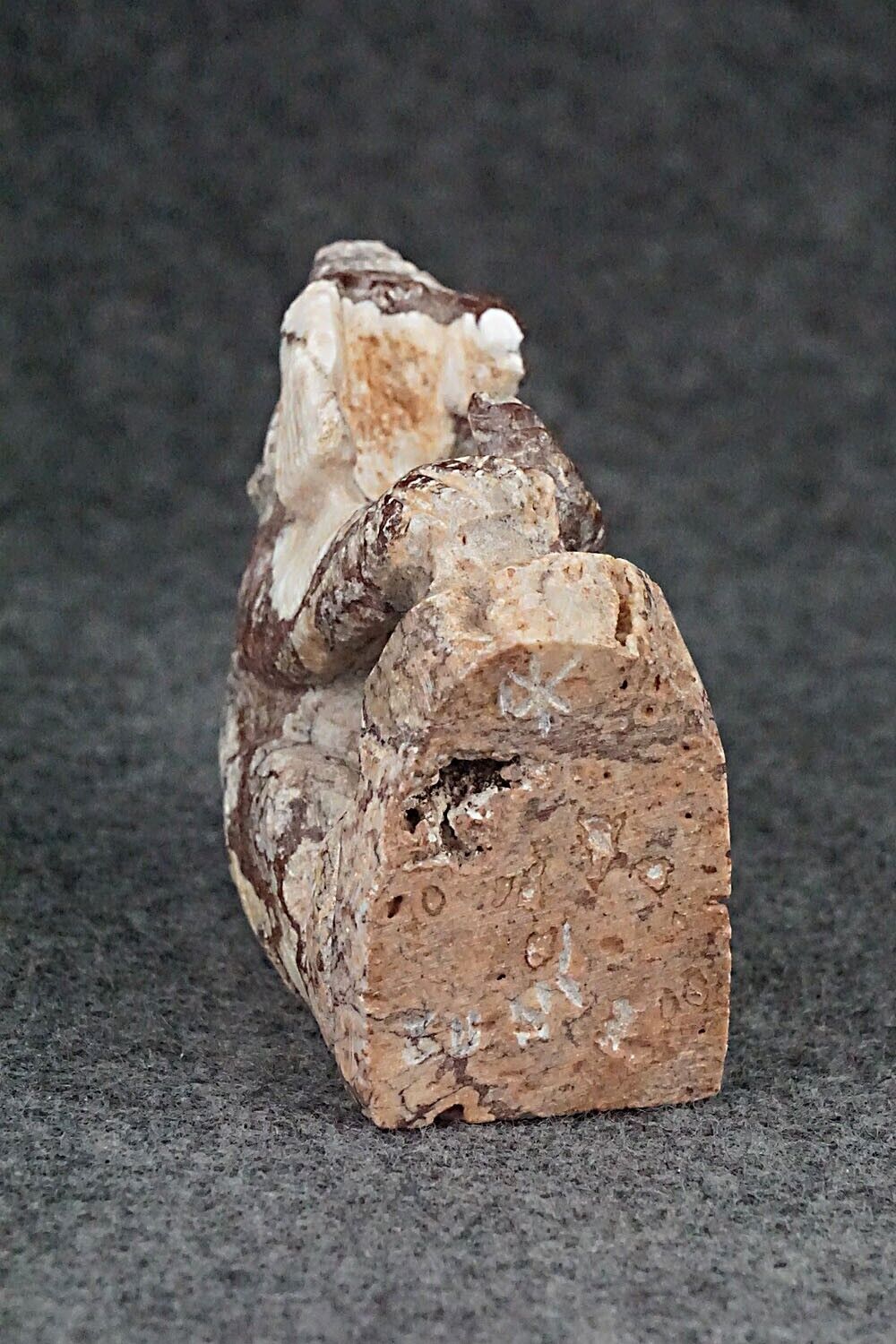 Bear Zuni Fetish Carving - Derrick Kaamasee