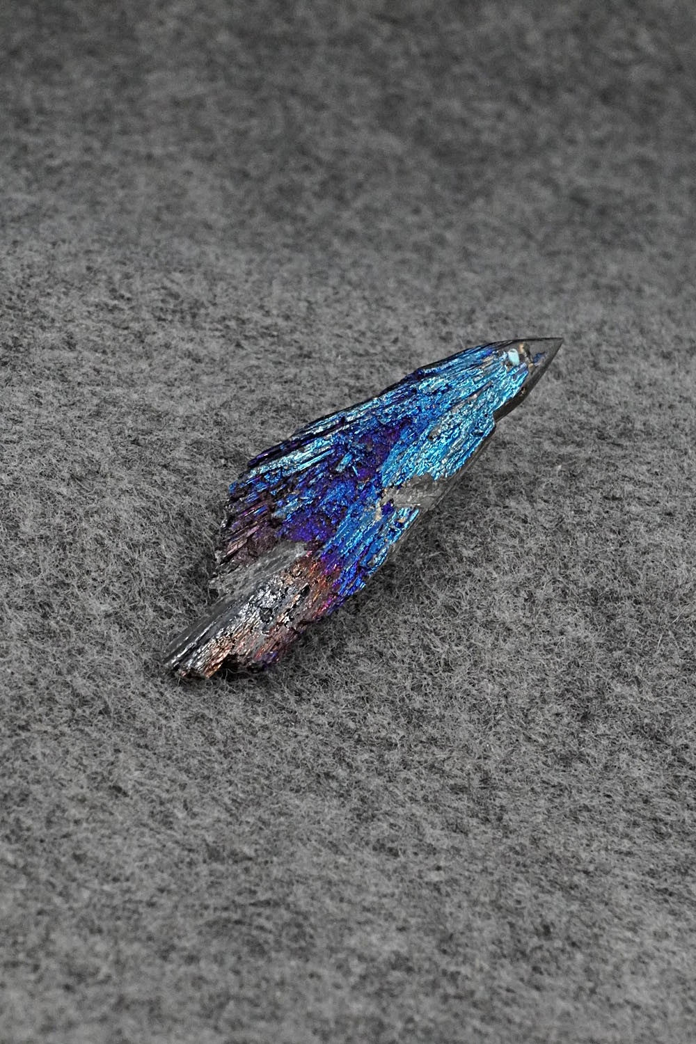 Porcupine Zuni Fetish Carving - Abby Quam Panteah