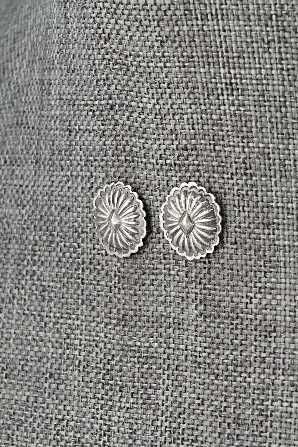 Sterling Silver Earrings - Terry Charlie