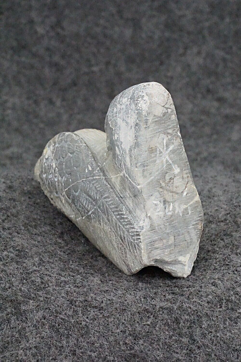 Quail Zuni Fetish Carving - Derrick Kaamasee