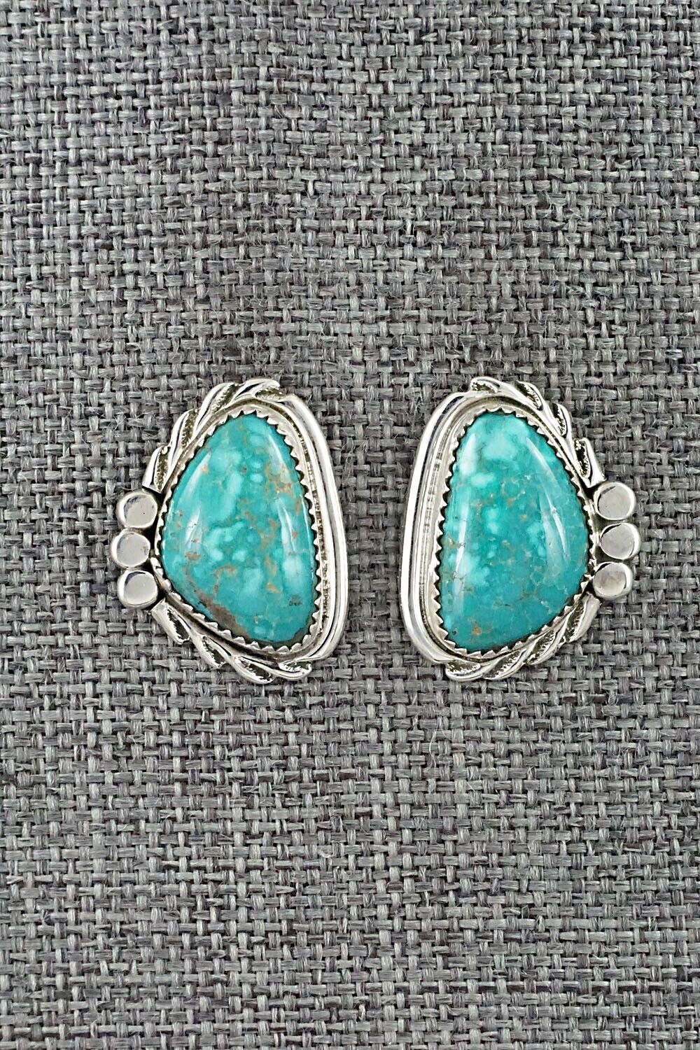 Turquoise and Sterling Silver Earrings - Delores Cadman