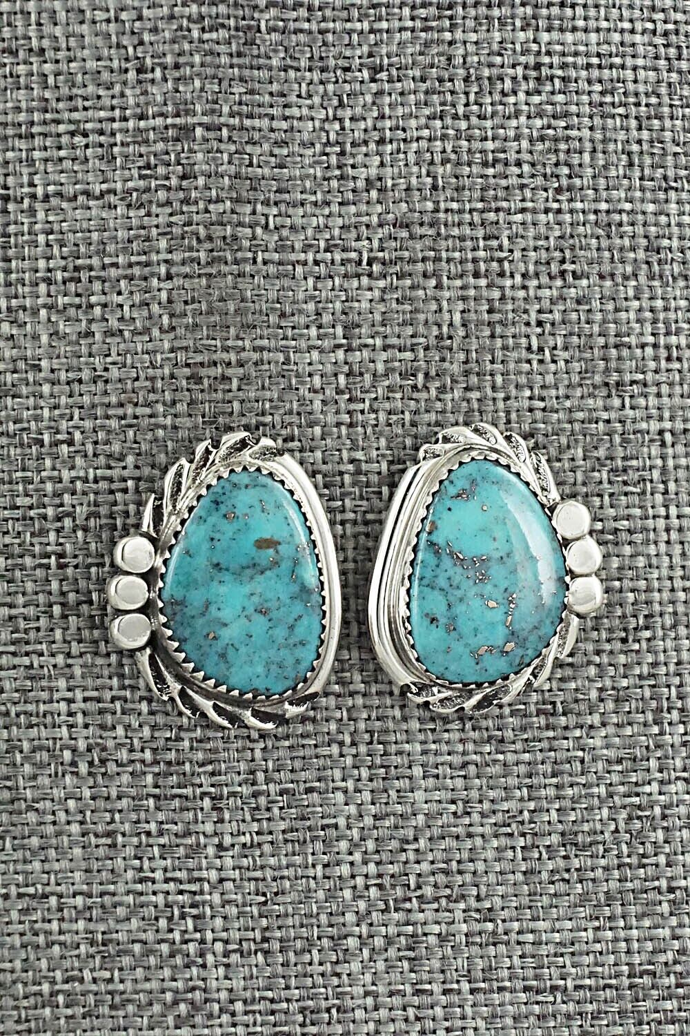 Turquoise and Sterling Silver Earrings - Delores Cadman