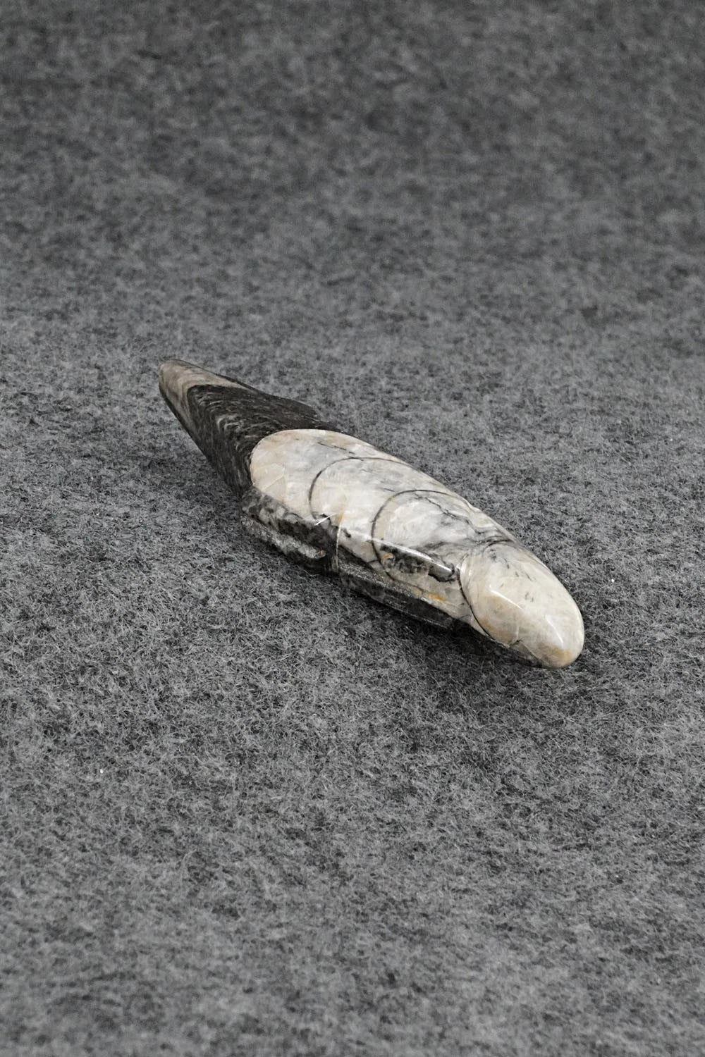 Wolf Zuni Fetish Carving - Abby Quam Panteah