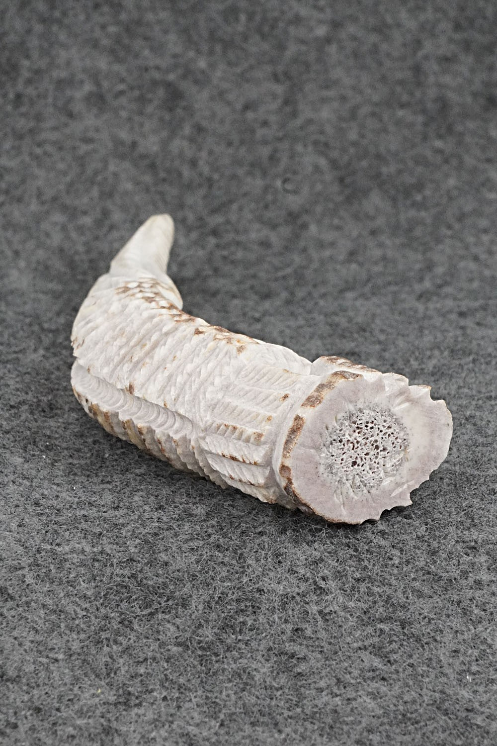 Eagle Zuni Fetish Carving - Garrick Weeka