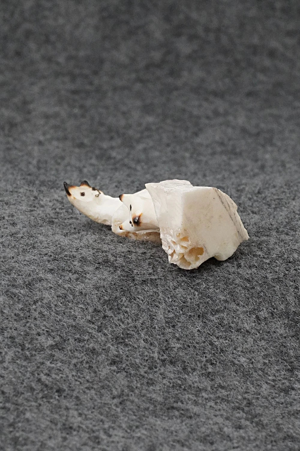 Cat Zuni Fetish Carving - Ruben Najera