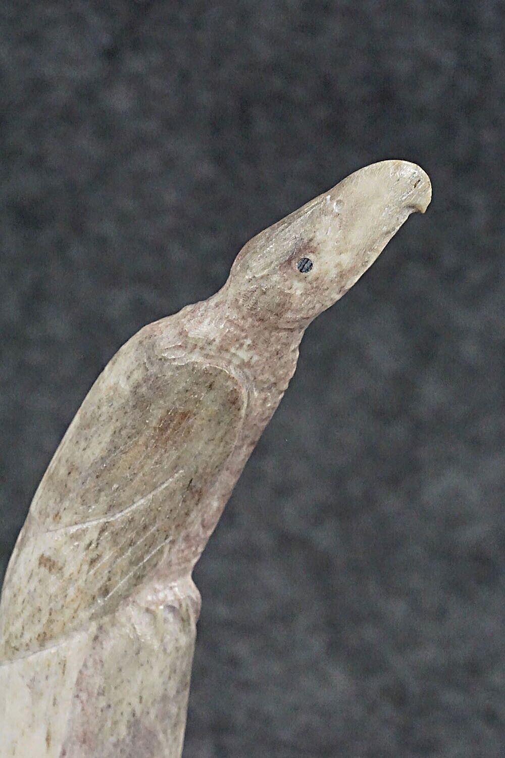 Eagle Zuni Fetish Carving - Maxx Laate