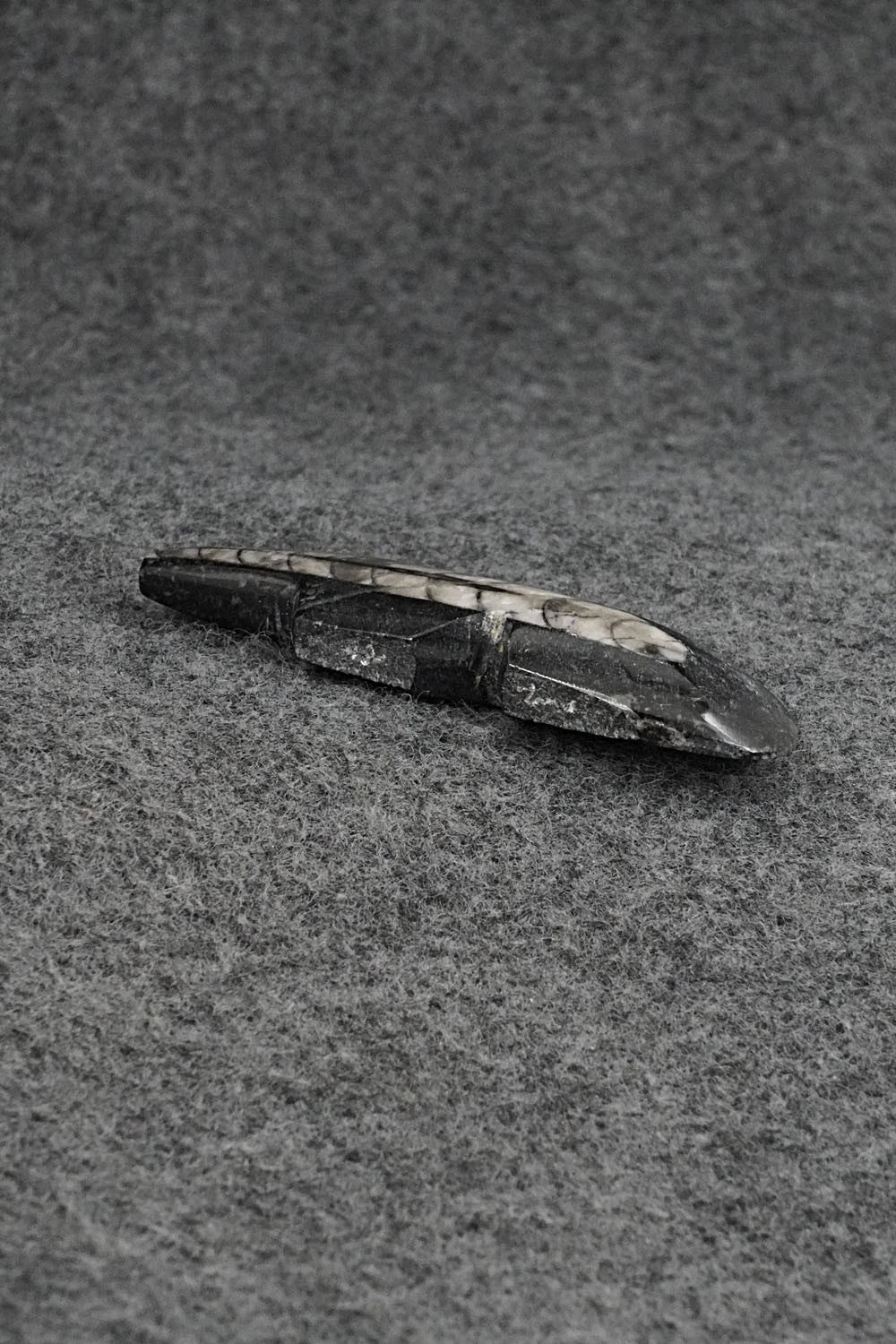 Bear Zuni Fetish Carving - Bernard Laiwakete