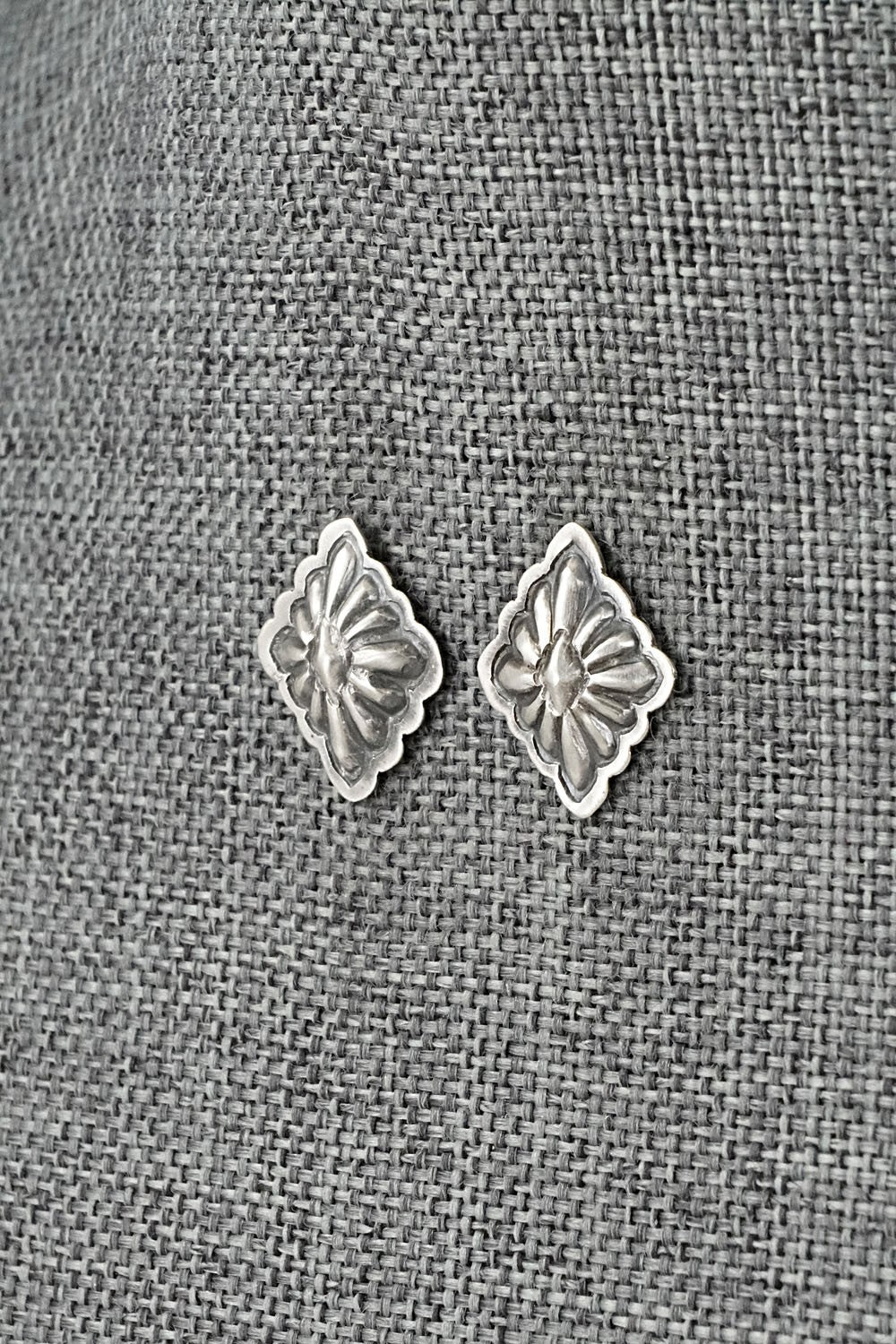 Sterling Silver Earrings - Terry Charlie