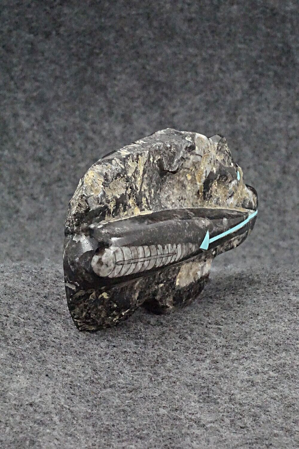 Bear Zuni Fetish Carving - Bernard Laiwakete