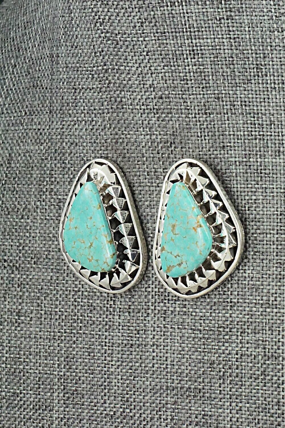 Turquoise & Sterling Silver Earrings - Sharon McCarthy