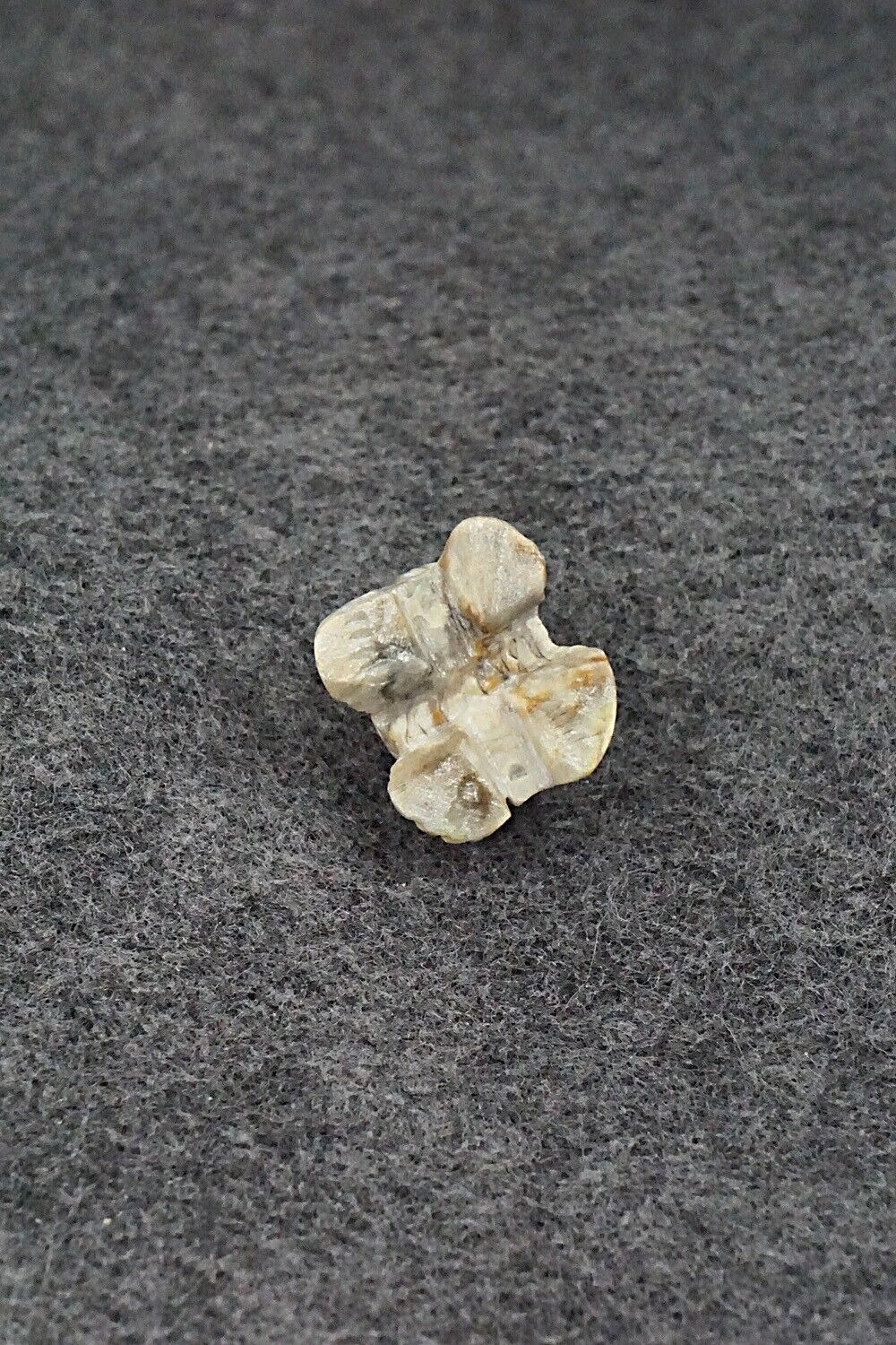 Turtle Zuni Fetish Carving - Lindsey Cheama