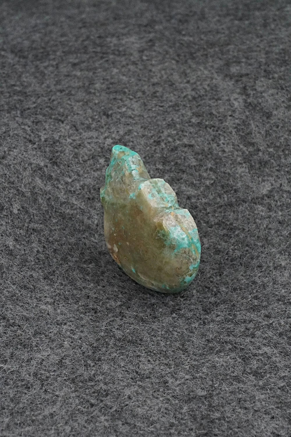 Bear Zuni Fetish Carving - Abby Quam Panteah