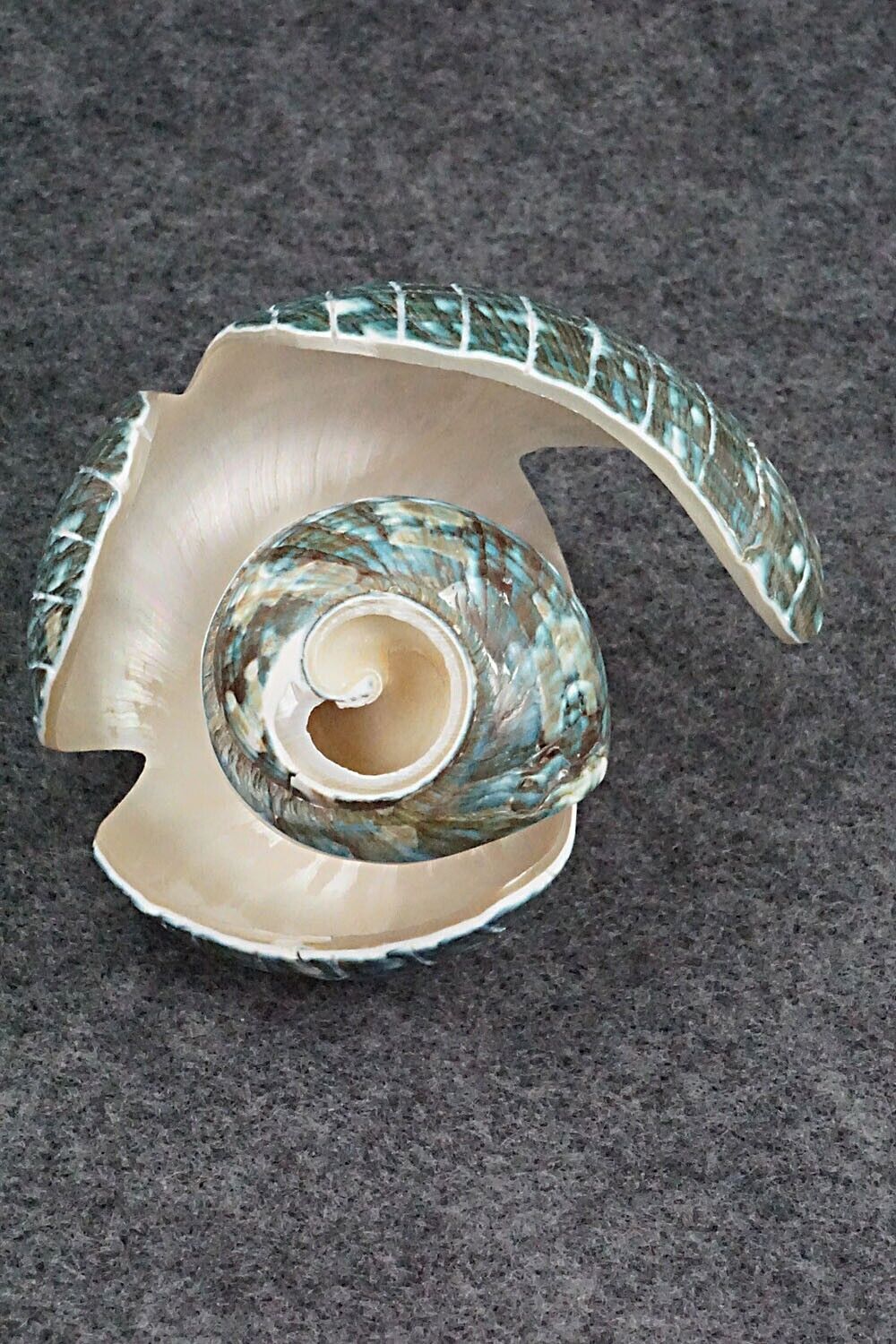 Eagle Zuni Fetish Carving - Delvin Leekya