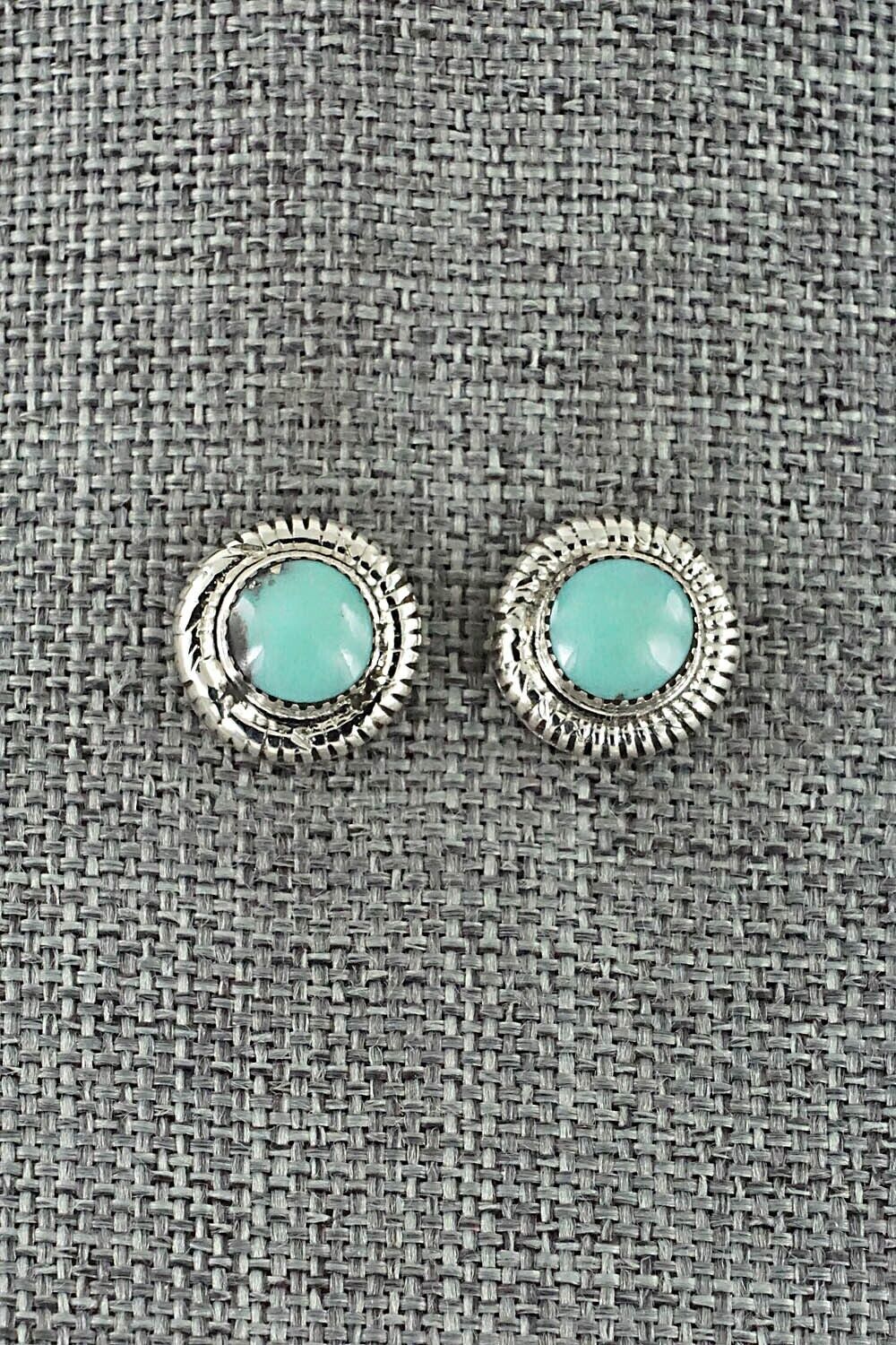 Turquoise & Sterling Silver Earrings - Sharon Clark