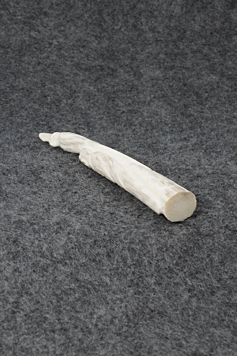 Parrot Zuni Fetish Carving - Maxx Laate