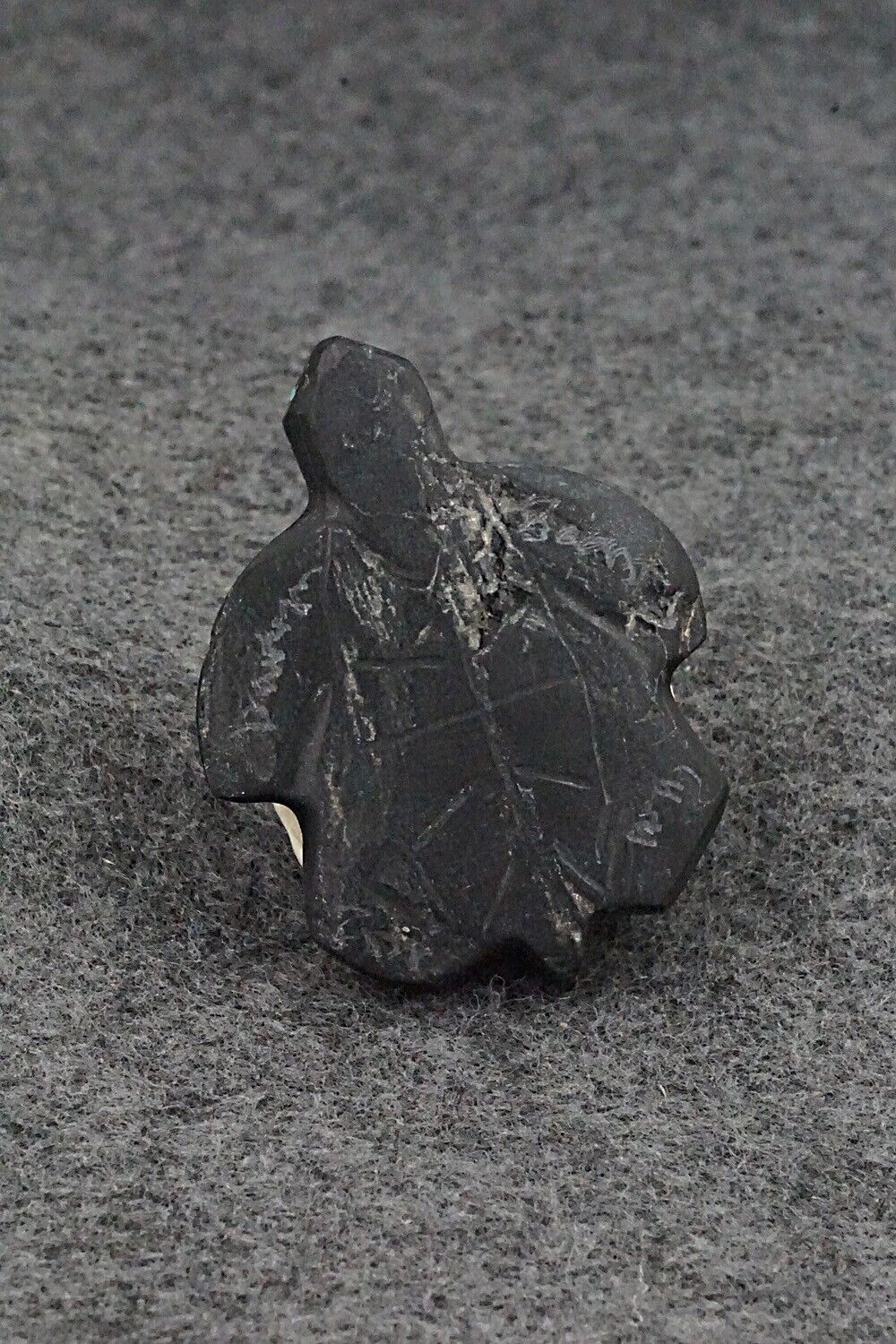 Turtle Zuni Fetish Carving - Darrin Boone