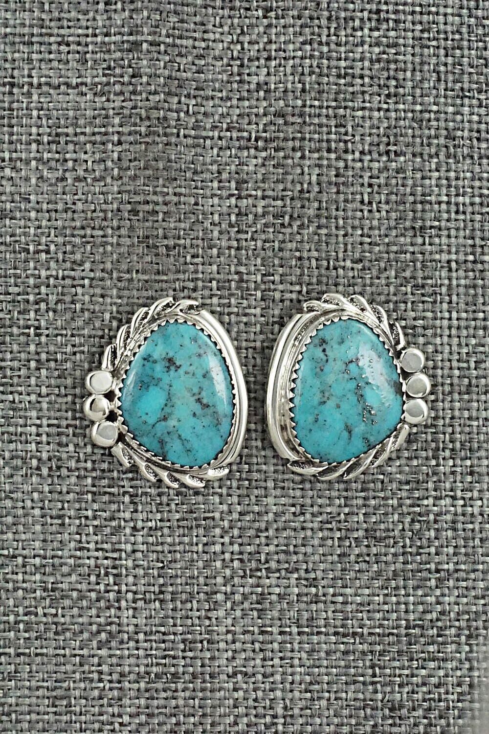 Turquoise and Sterling Silver Earrings - Delores Cadman