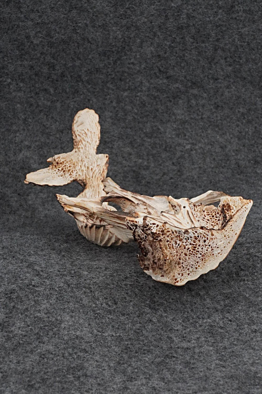 Owl & Eagle Zuni Fetish Carving - Ruben Najera