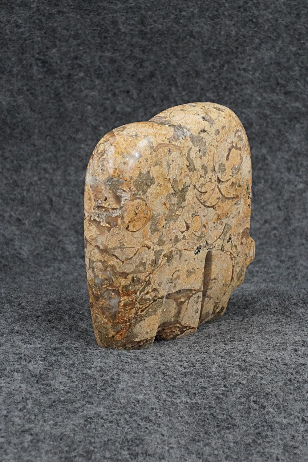 Bear Zuni Fetish Carving - Bernard Laiwakete