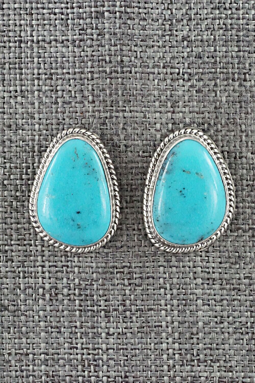 Turquoise & Sterling Silver Earrings - Sharon McCarthy