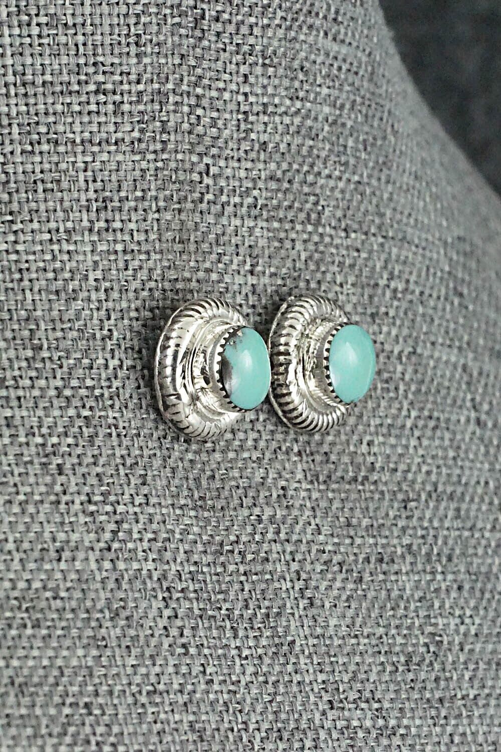 Turquoise & Sterling Silver Earrings - Sharon Clark