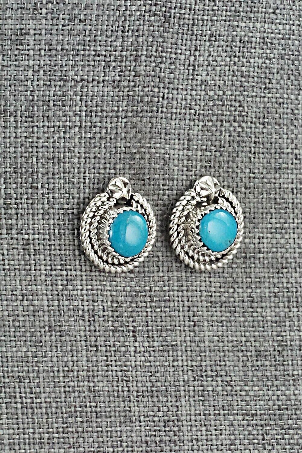 Turquoise & Sterling Silver Earrings - Sandra Parkett