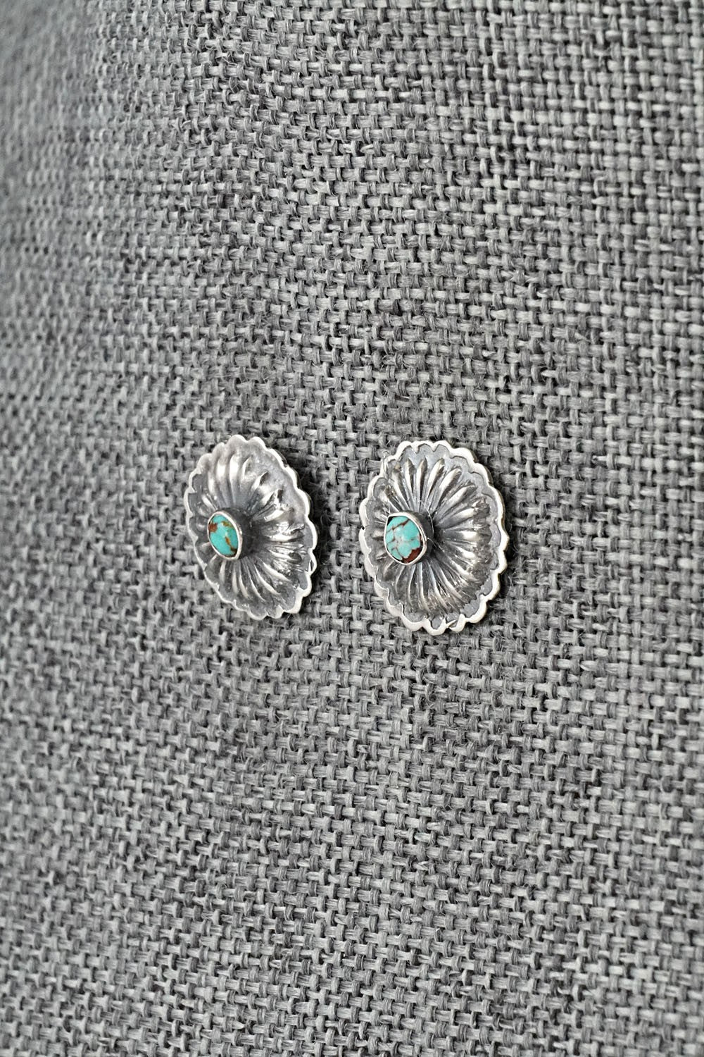 Turquoise & Sterling Silver Earrings - Terry Charlie
