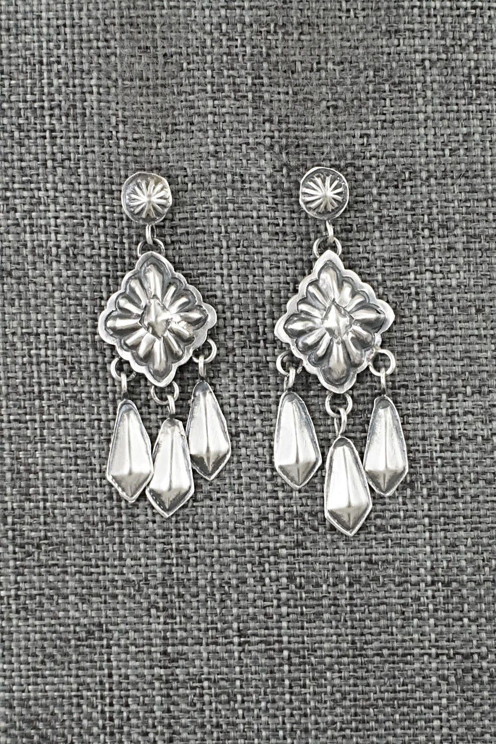 Sterling Silver Earrings - Terry Charlie