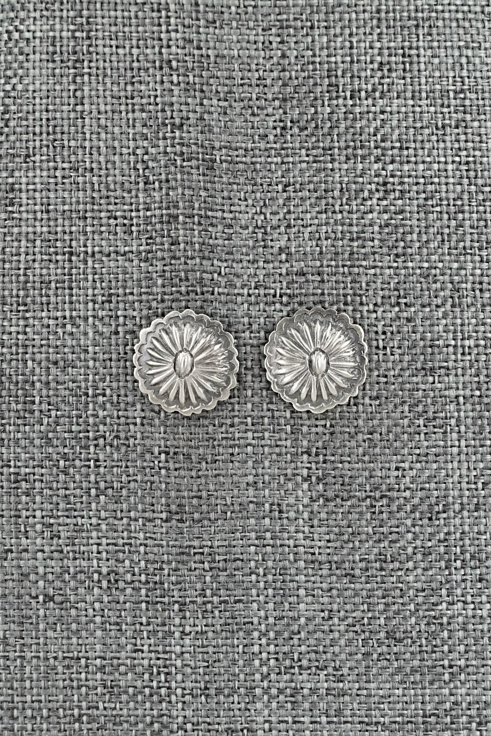 Sterling Silver Earrings - Terry Charlie
