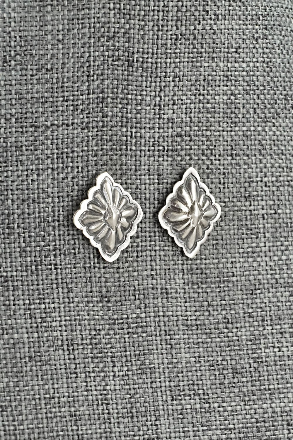 Sterling Silver Earrings - Terry Charlie