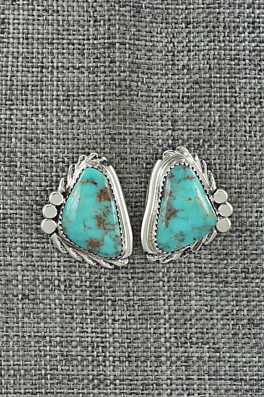 Turquoise and Sterling Silver Earrings - Delores Cadman