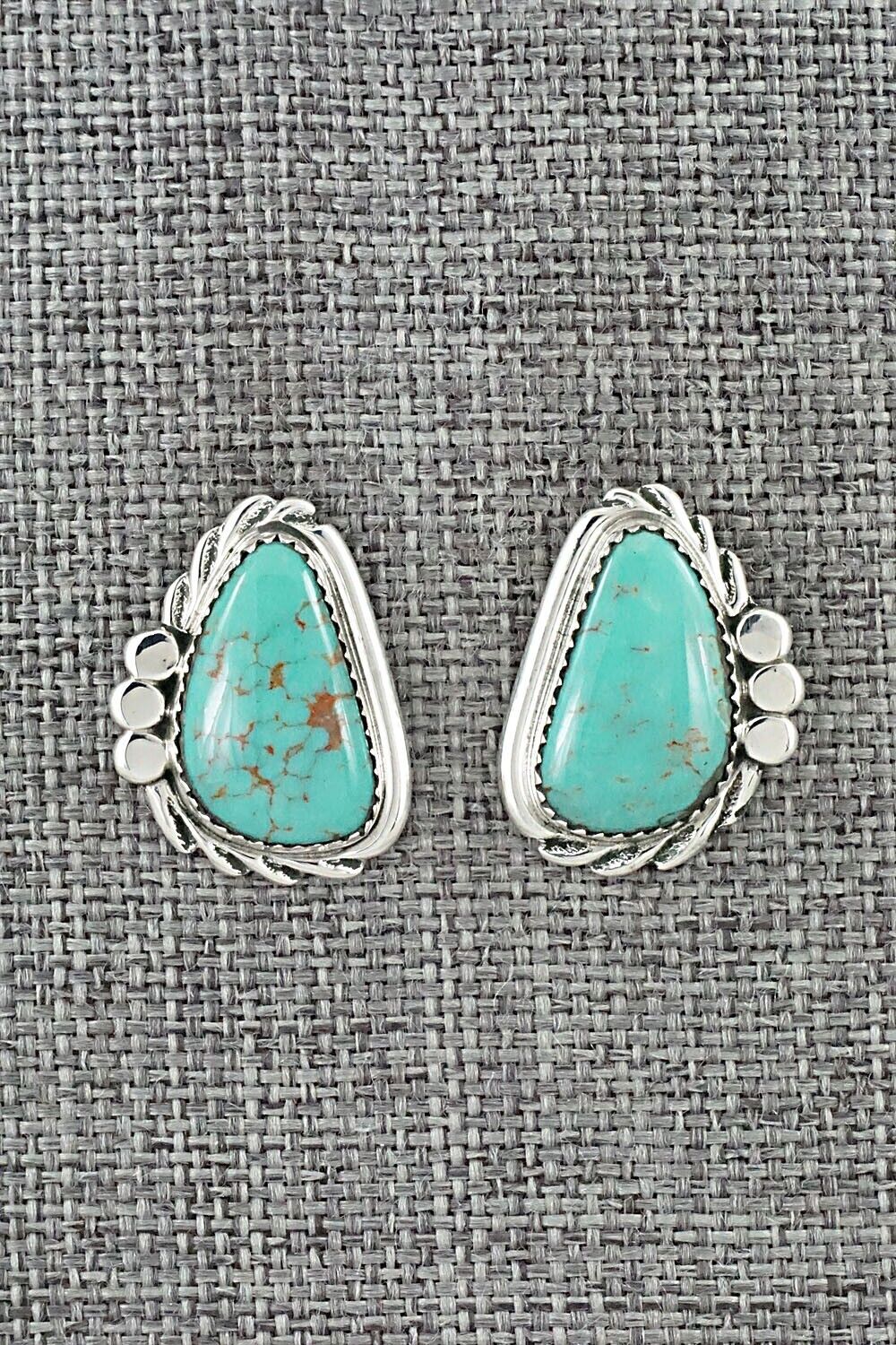 Turquoise and Sterling Silver Earrings - Delores Cadman
