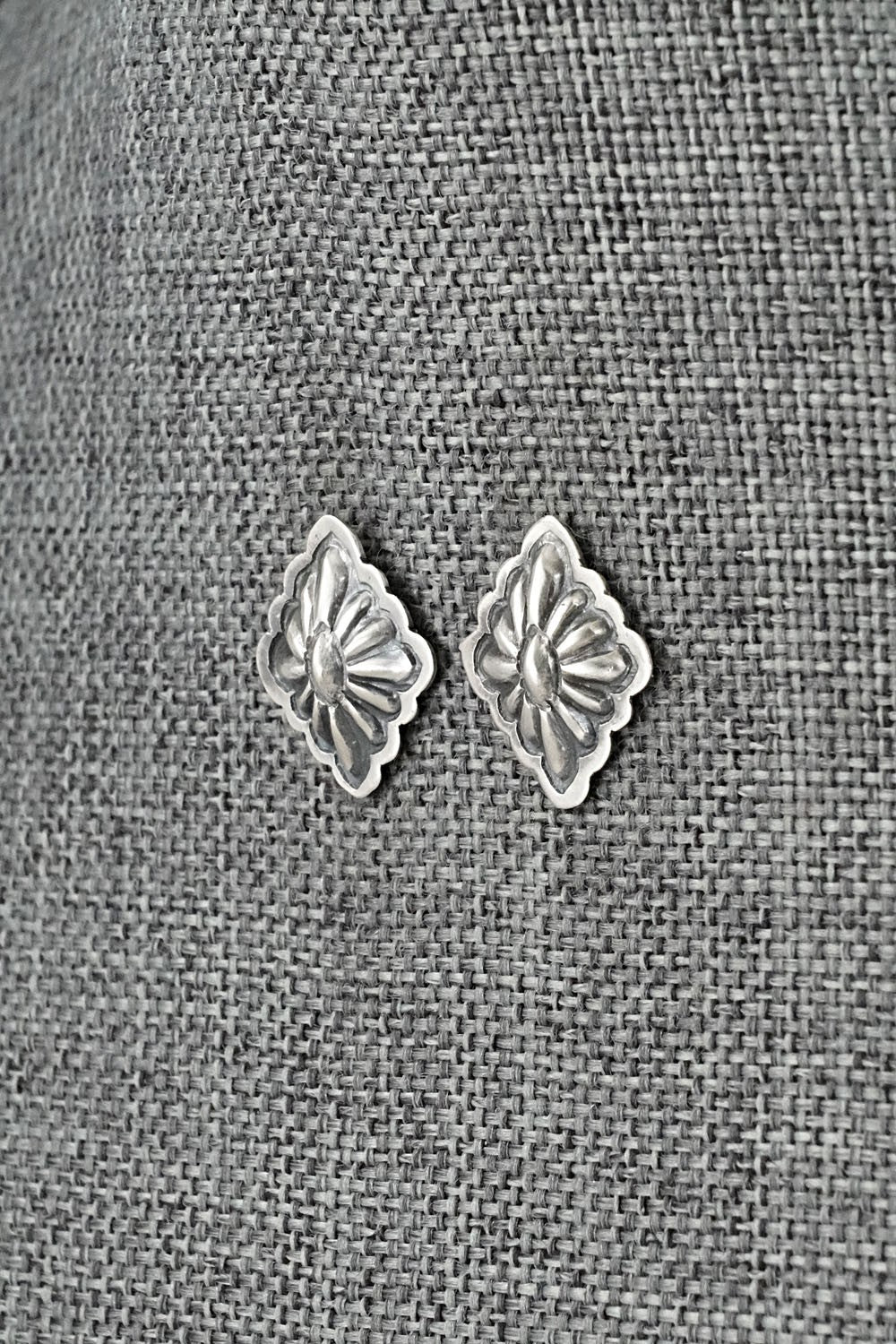 Sterling Silver Earrings - Terry Charlie