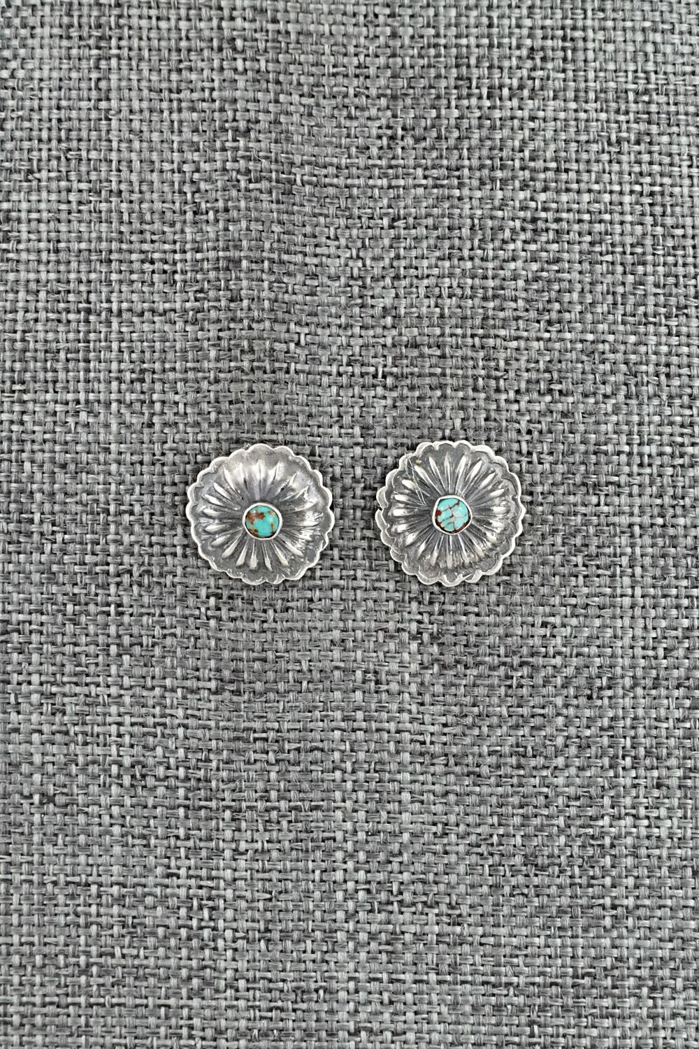 Turquoise & Sterling Silver Earrings - Terry Charlie