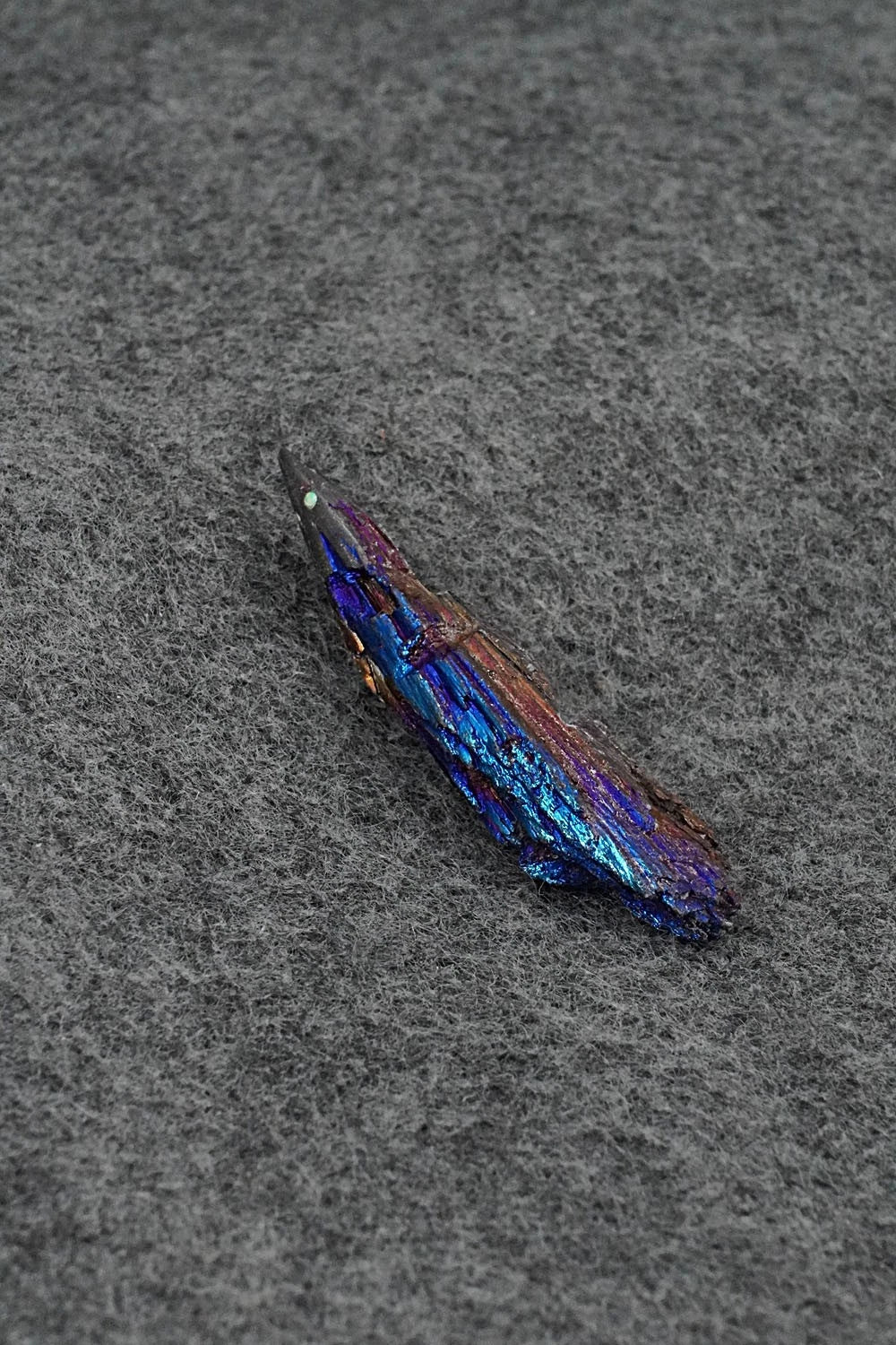 Porcupine Zuni Fetish Carving - Abby Panteah Quam