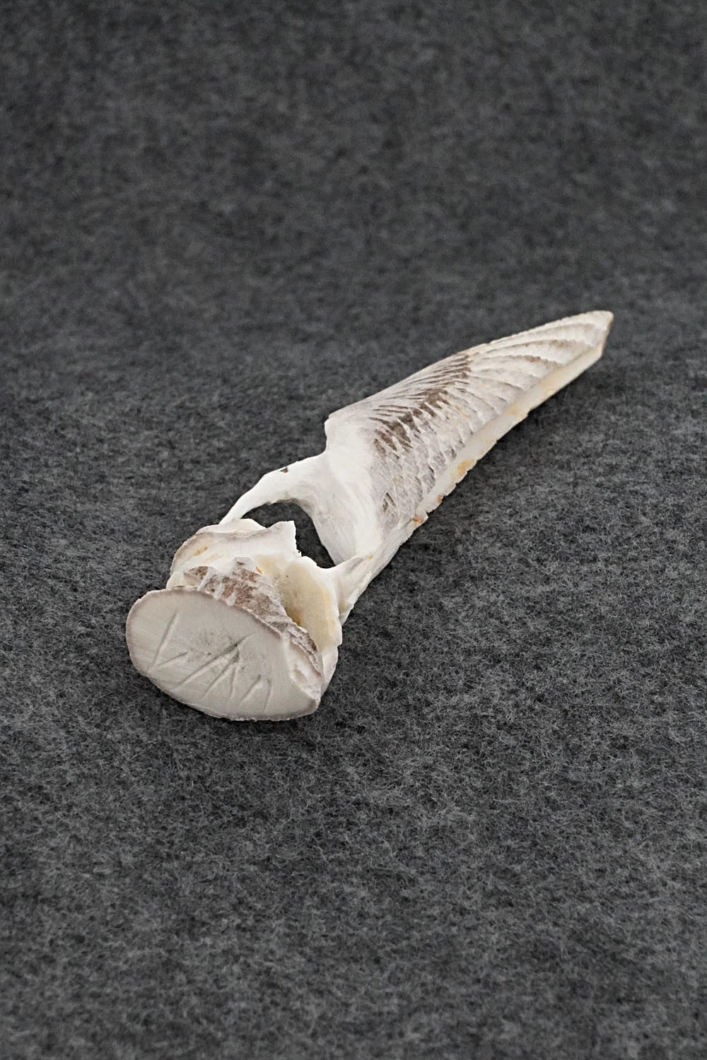 Hummingbird Zuni Fetish Carving - Lewis Malie
