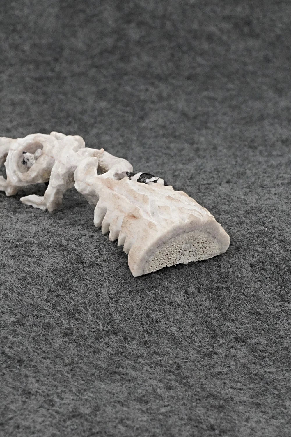 Raccoon Zuni Fetish Carving - Ruben Najera
