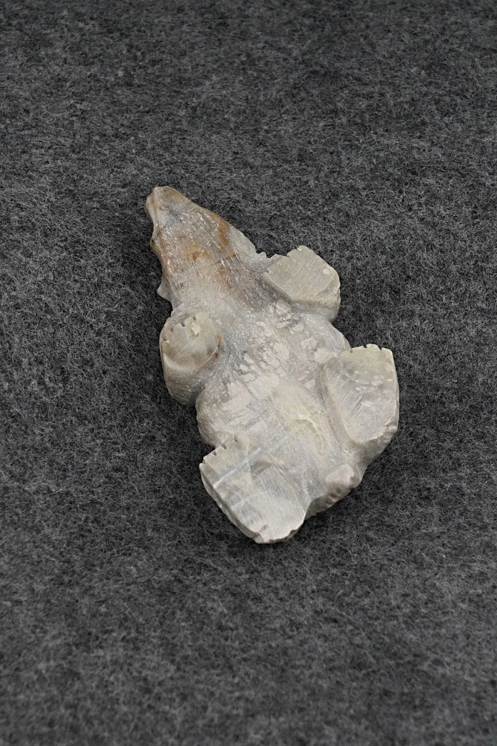 Badger Zuni Fetish Carving - Derrick Kammasee