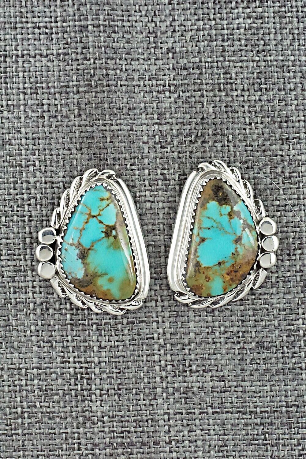 Turquoise and Sterling Silver Earrings - Delores Cadman