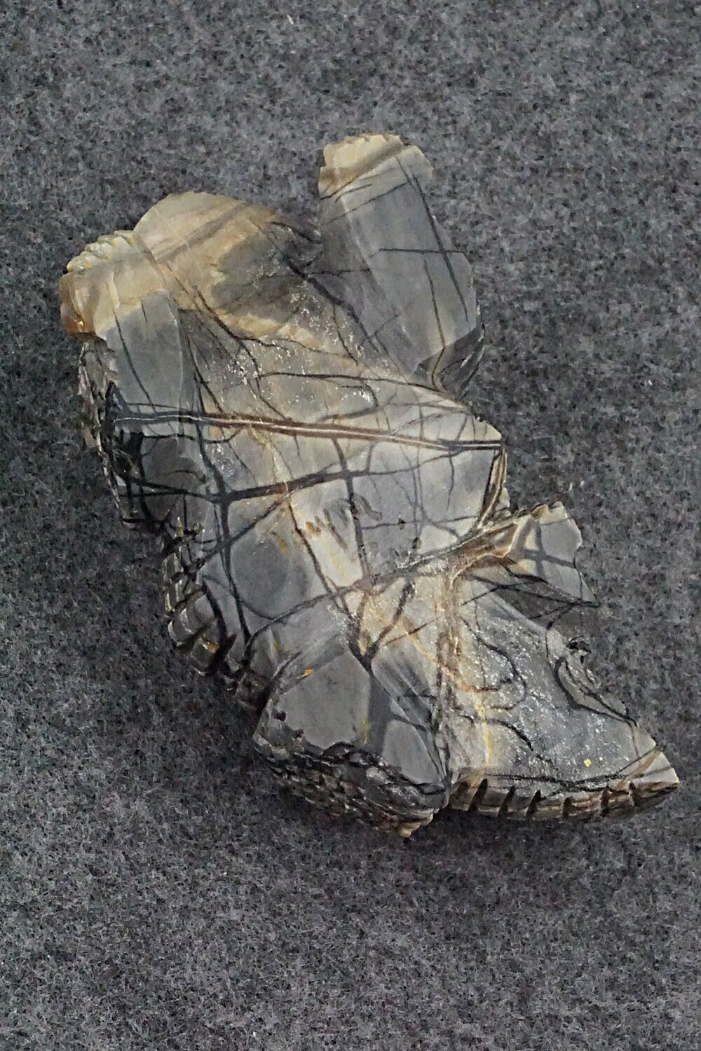 Horned Toad Zuni Fetish Carving - Tony Mackel