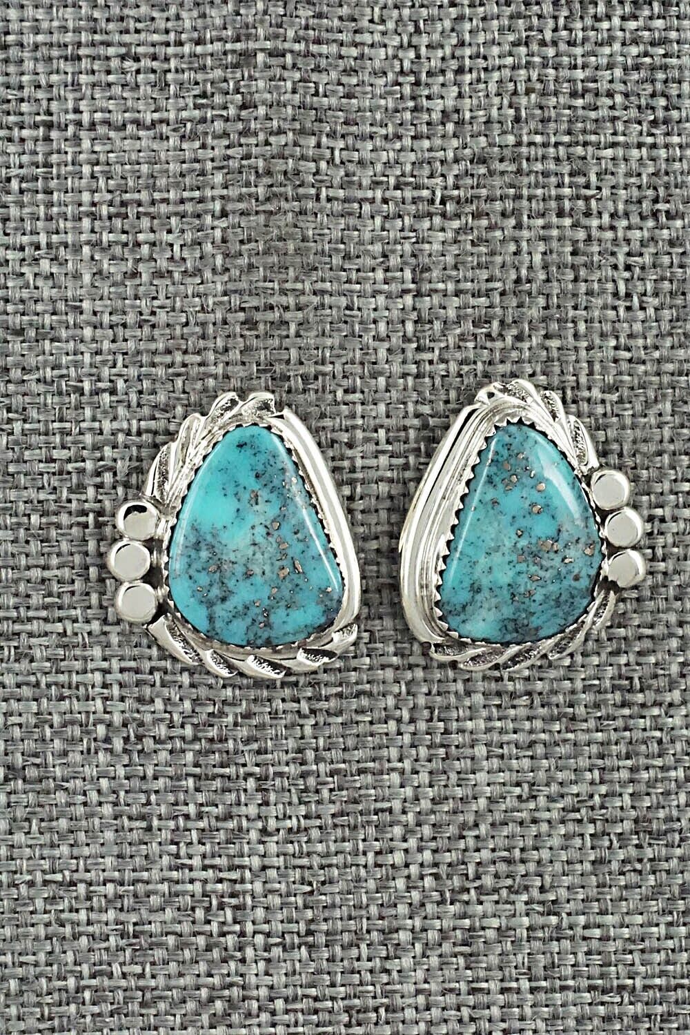 Turquoise and Sterling Silver Earrings - Delores Cadman