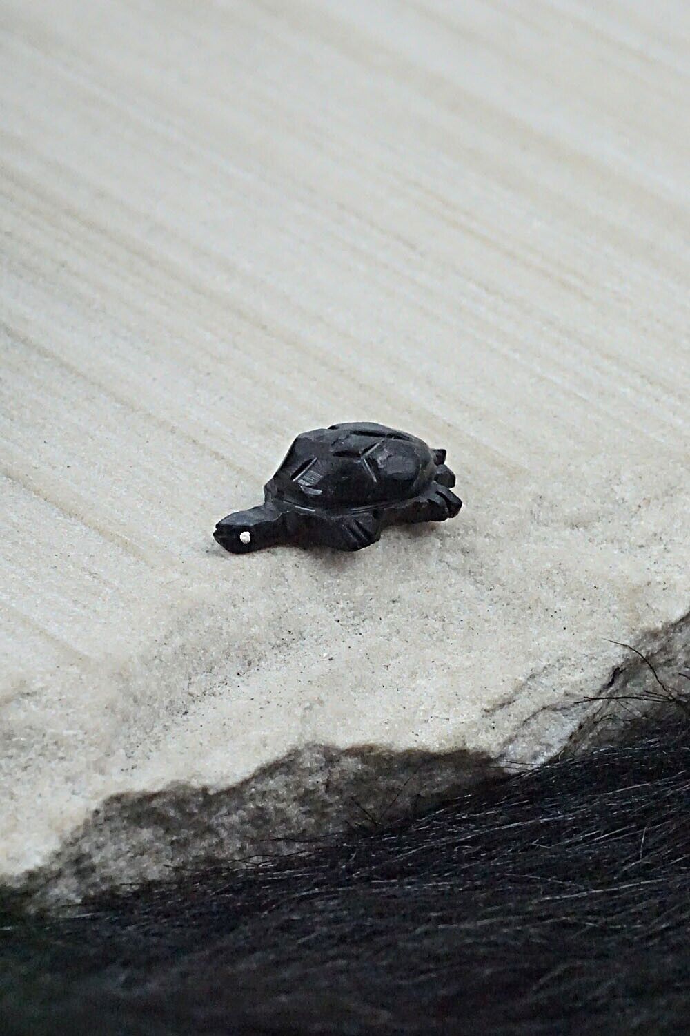 Tiny Turtle Zuni Fetish Carving - Vander Tsethlikai