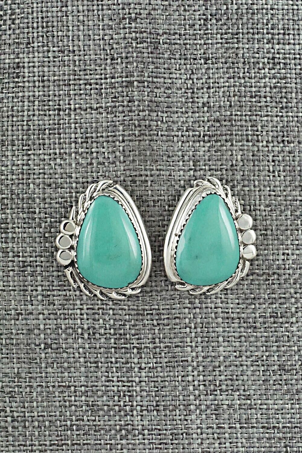 Turquoise and Sterling Silver Earrings - Delores Cadman