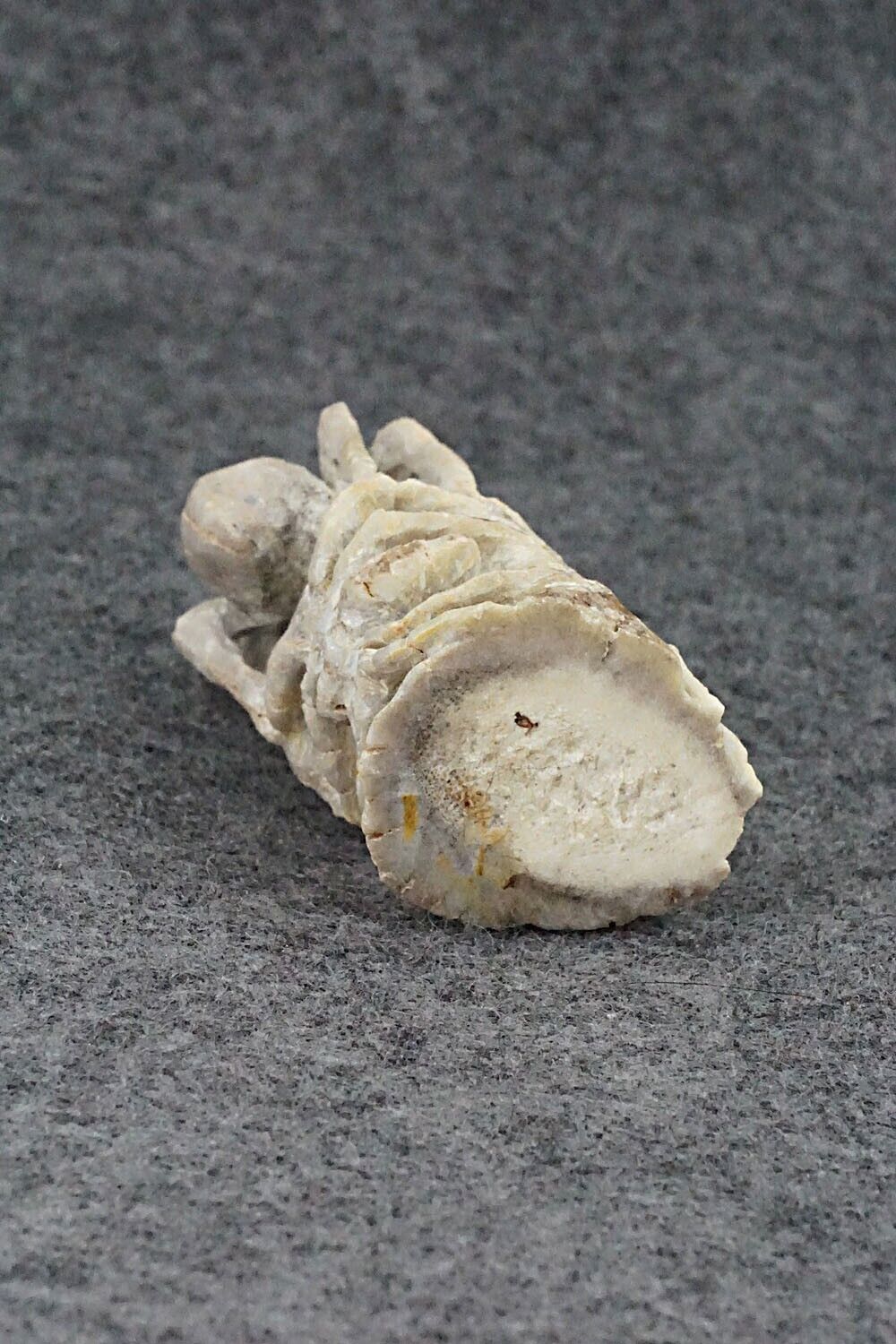 Spiders Zuni Fetish Carving - Lewis Malie Jr.