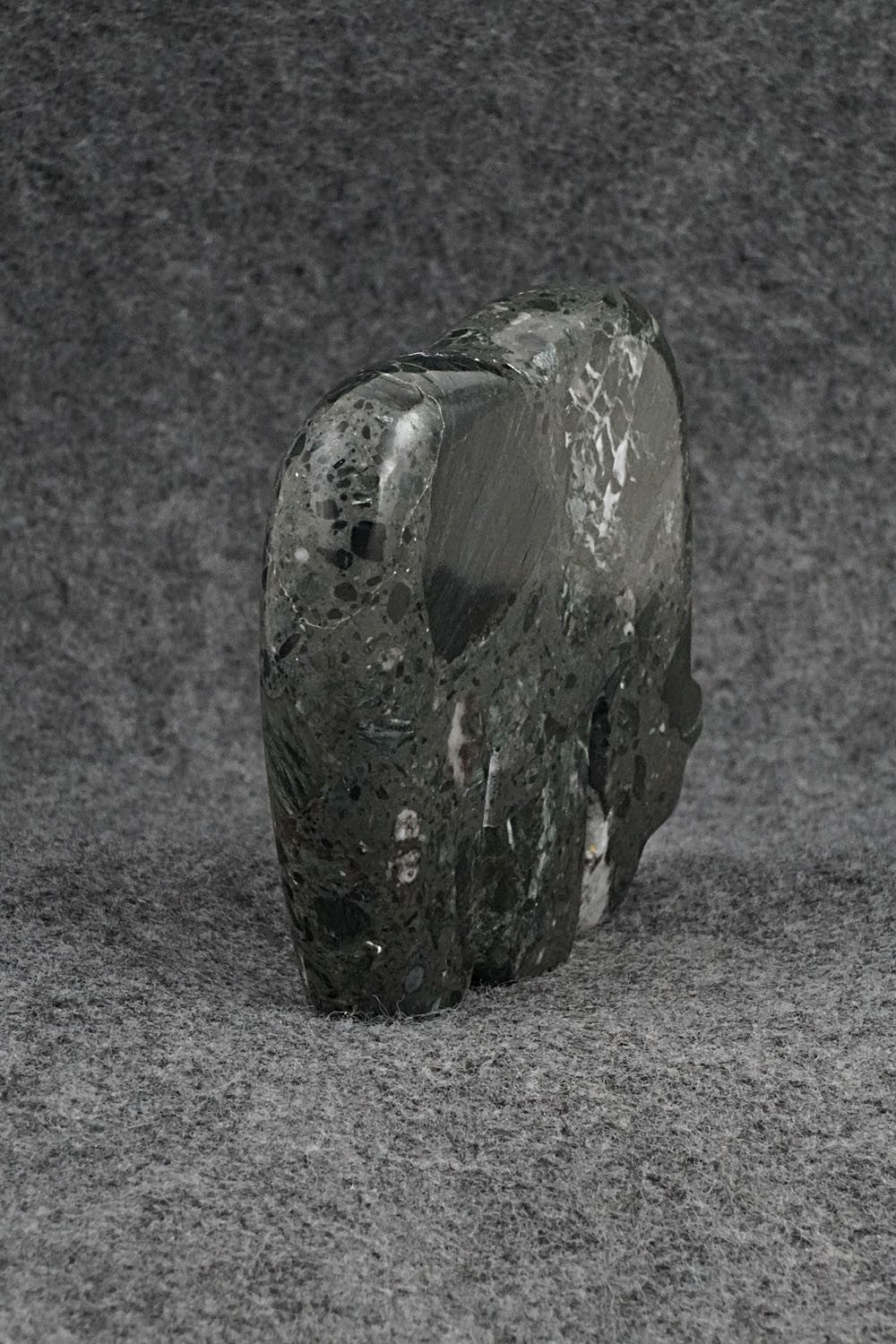 Bear Zuni Fetish Carving - Bernard Laiwakete