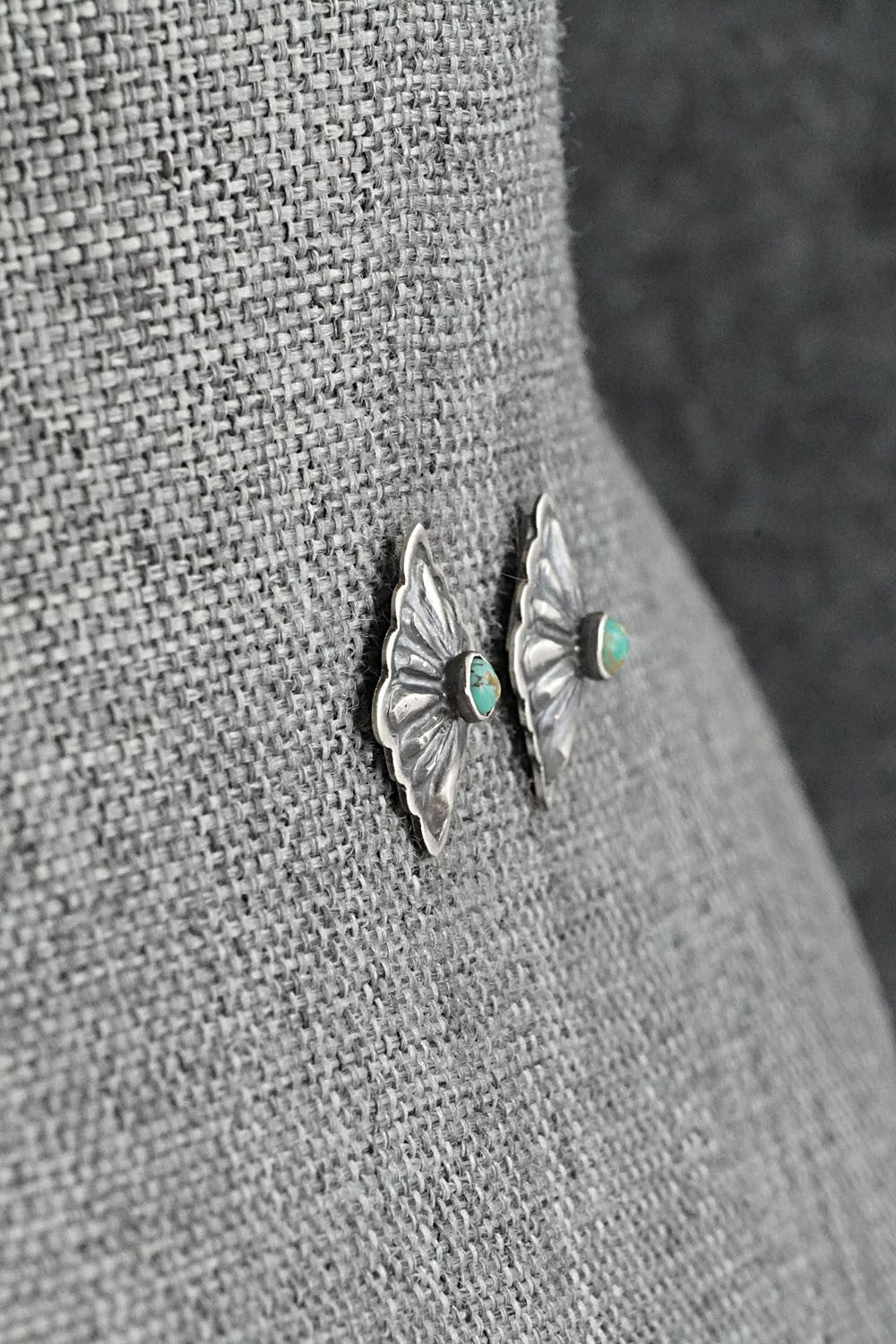 Turquoise & Sterling Silver Earrings - Terry Charlie