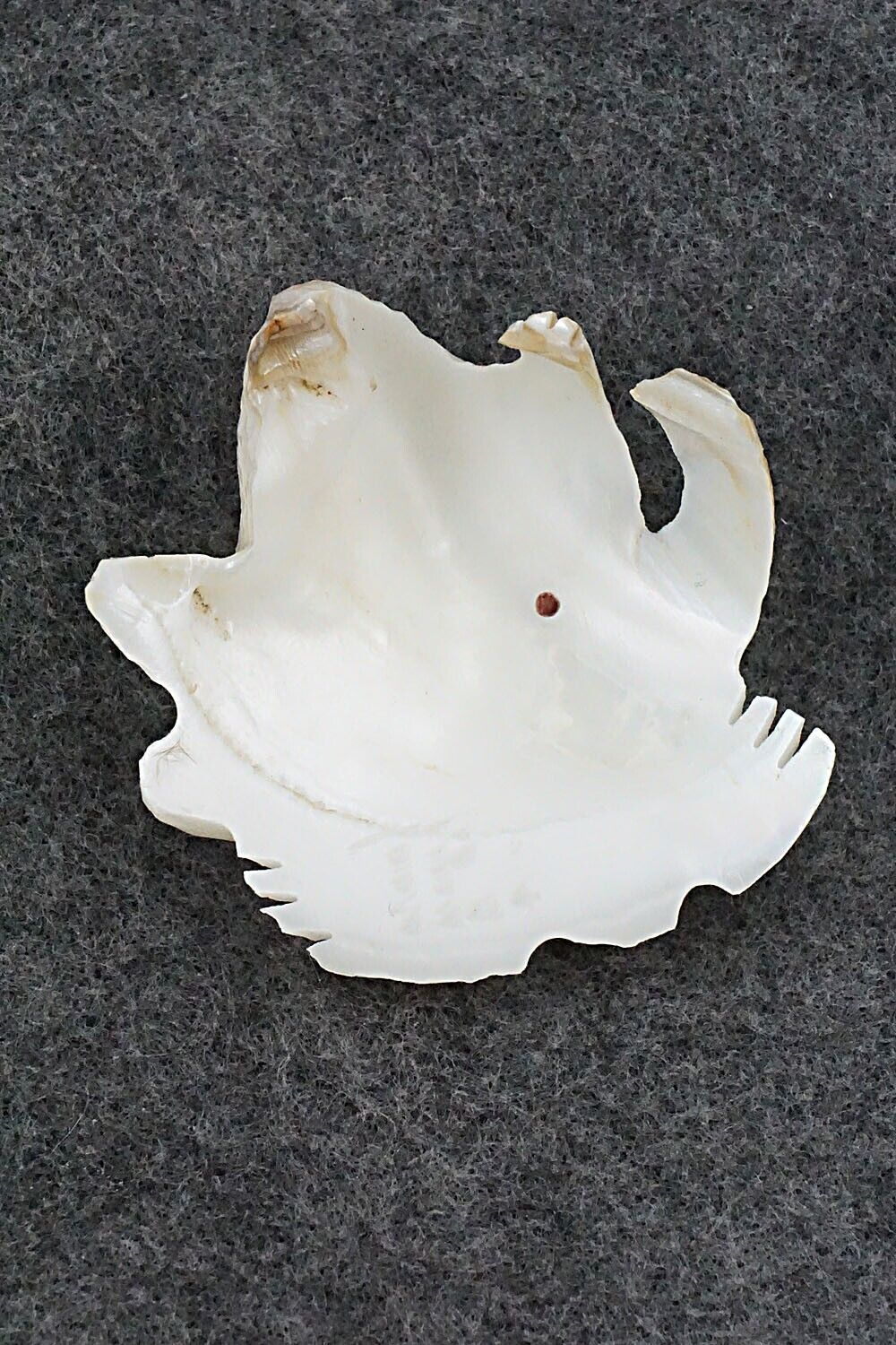 Frog Zuni Fetish Carving - Tyrone Poncho