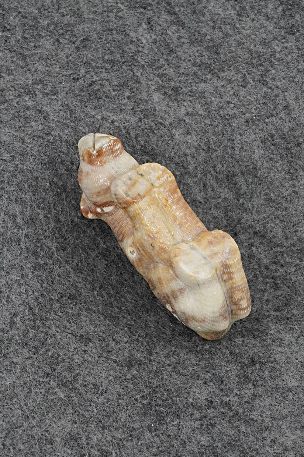 Mountain Lion Zuni Fetish Carving - Randy Lucio