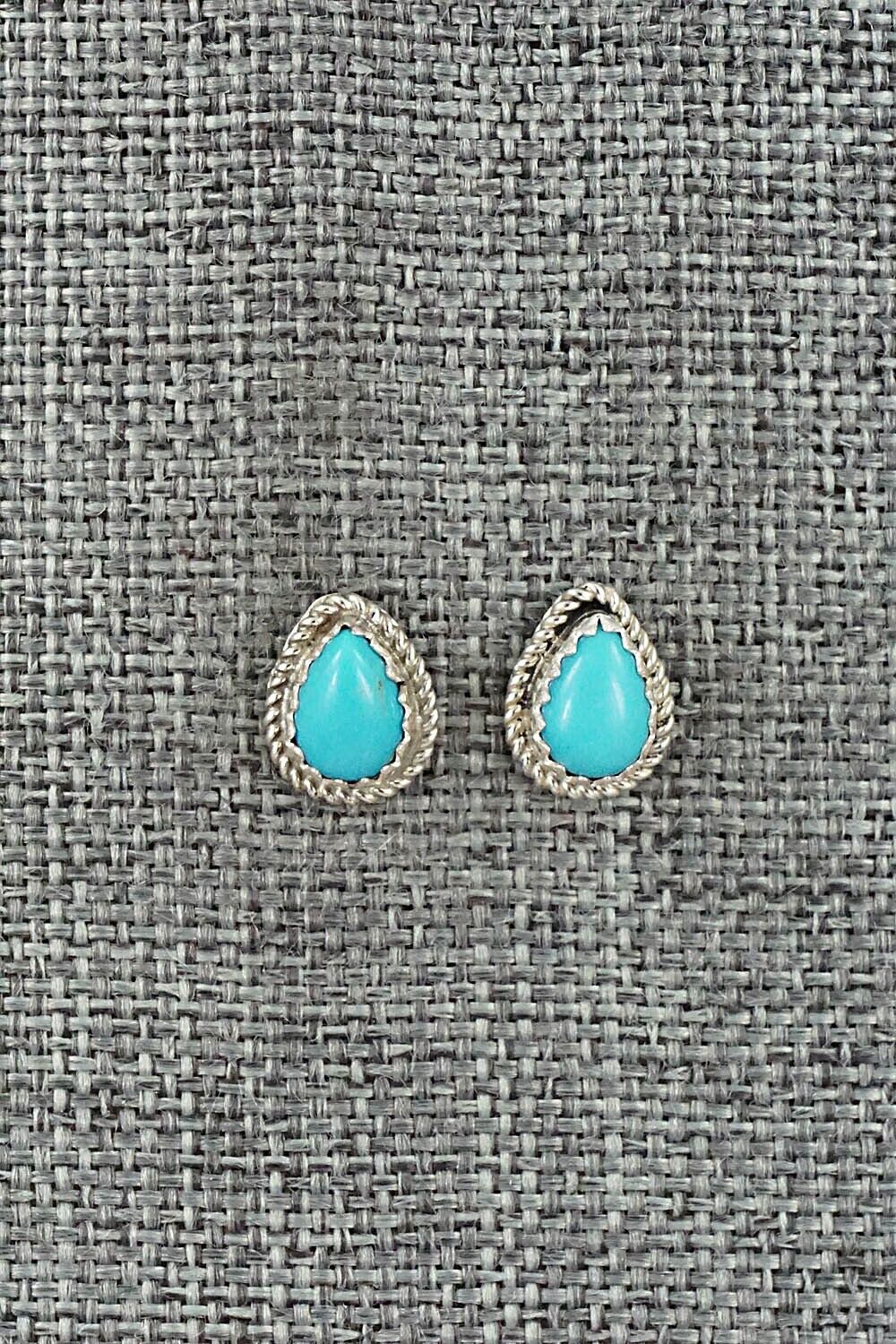 Turquoise and Sterling Silver Earrings - Sally Arviso